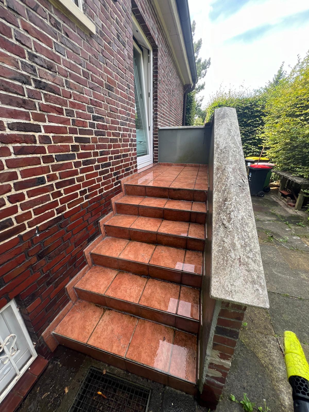 Detailreinigung der Fugen am Gehweg in Hamburg und Umgebung durch Hauszeit E&B